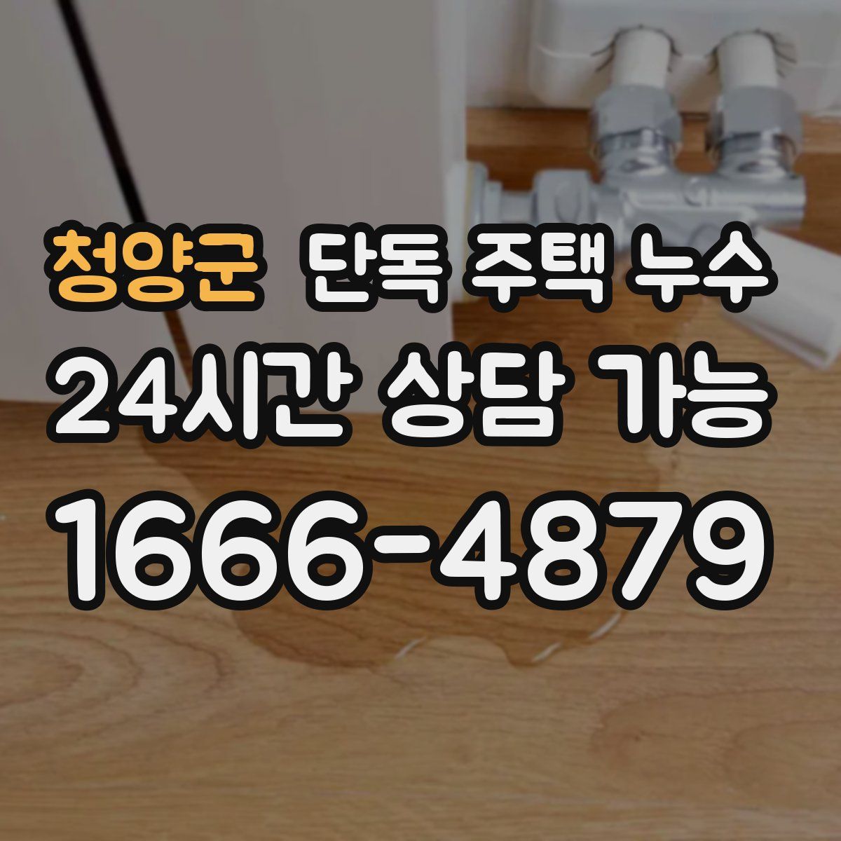 청양군 단독 주택 누수