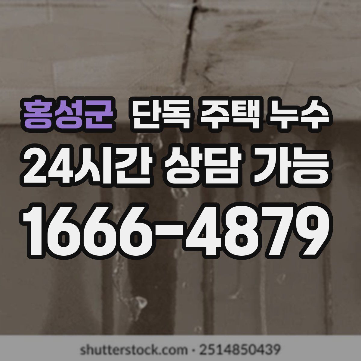홍성군 단독 주택 누수
