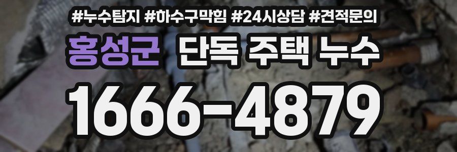 홍성군 단독 주택 누수