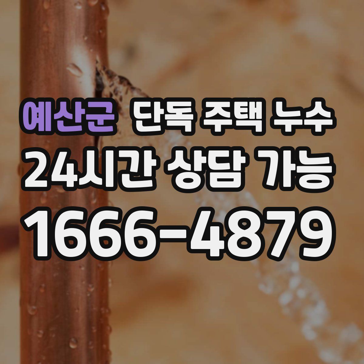 예산군 단독 주택 누수