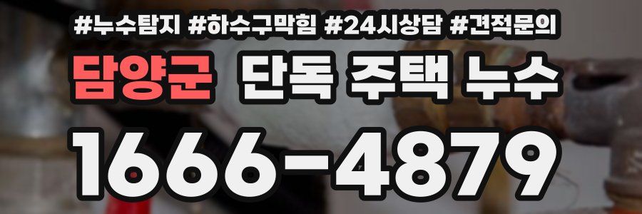 담양군 단독 주택 누수