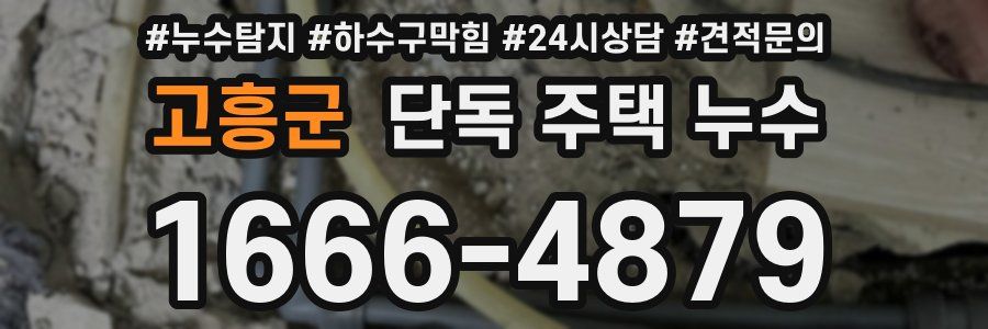 고흥군 단독 주택 누수