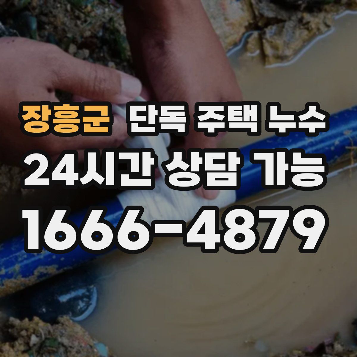 장흥군 단독 주택 누수