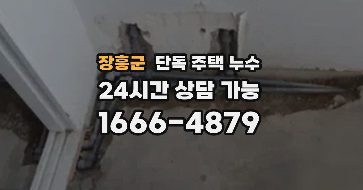 장흥군 단독 주택 누수