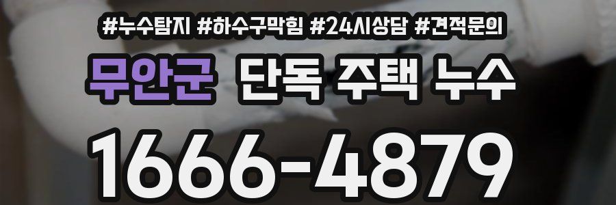 무안군 단독 주택 누수