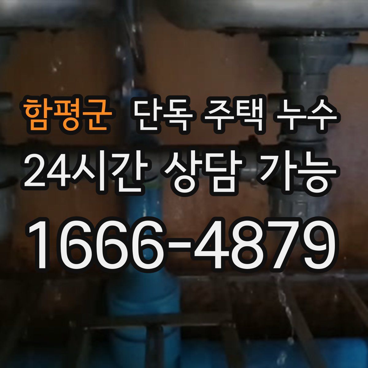 함평군 단독 주택 누수