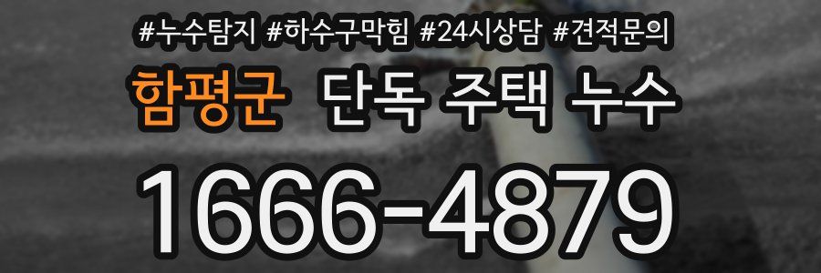 함평군 단독 주택 누수