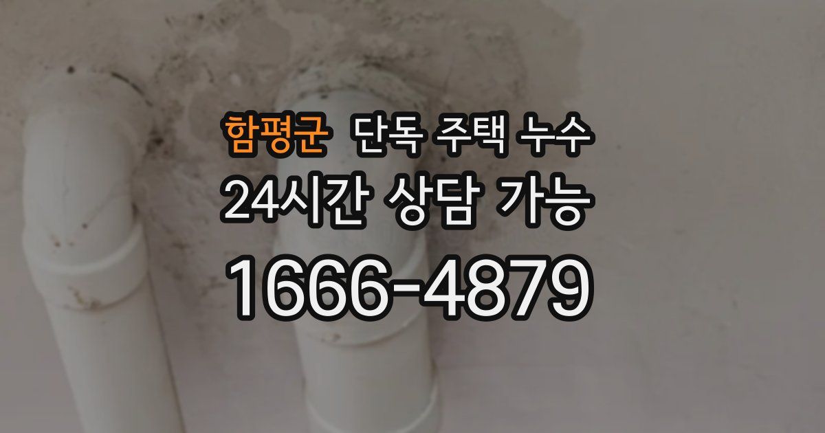 함평군 단독 주택 누수