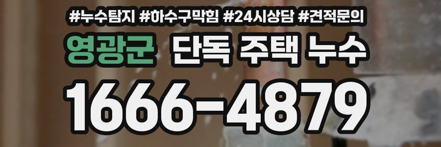 영광군 단독 주택 누수