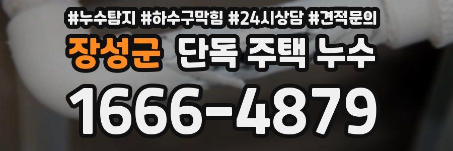 장성군 단독 주택 누수