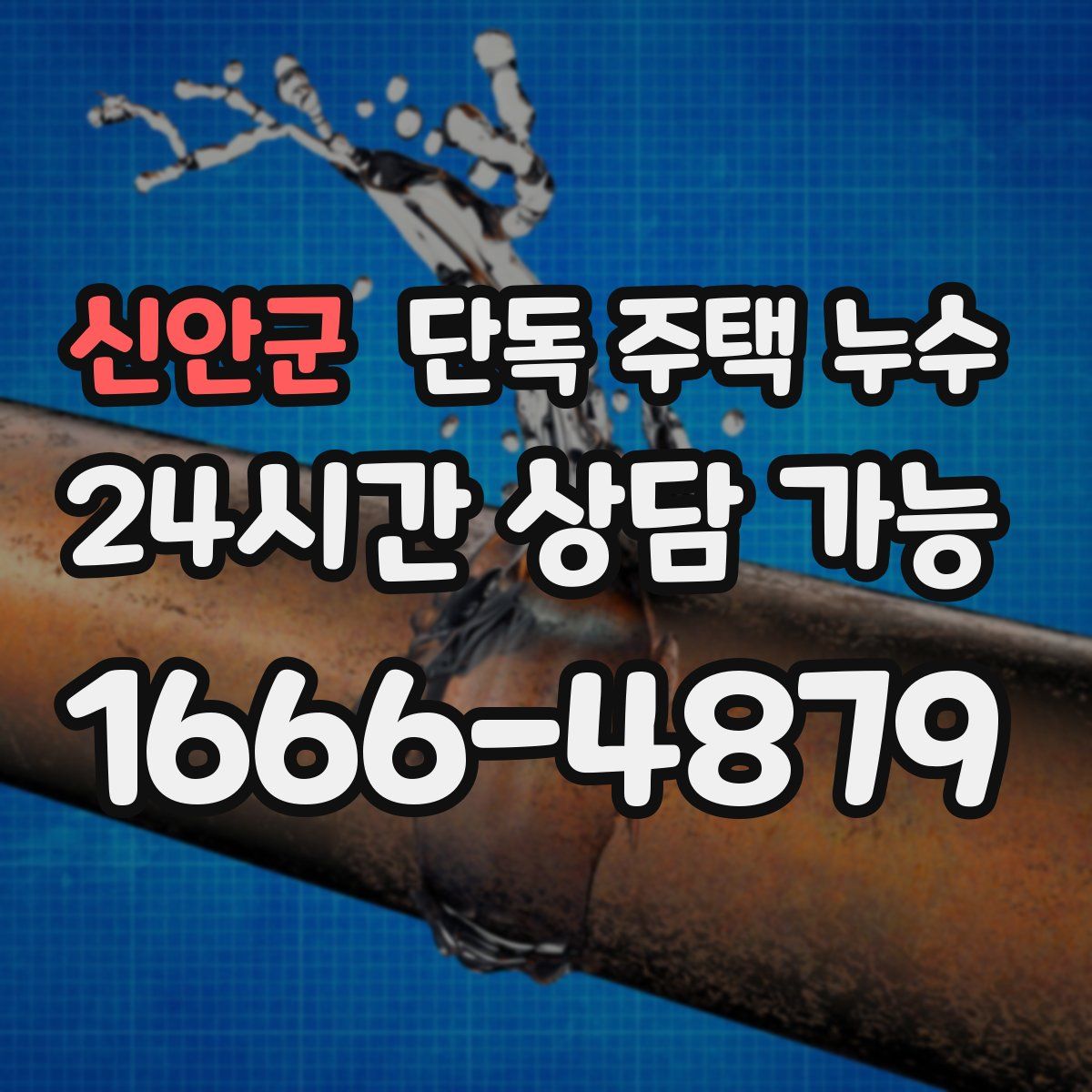 신안군 단독 주택 누수