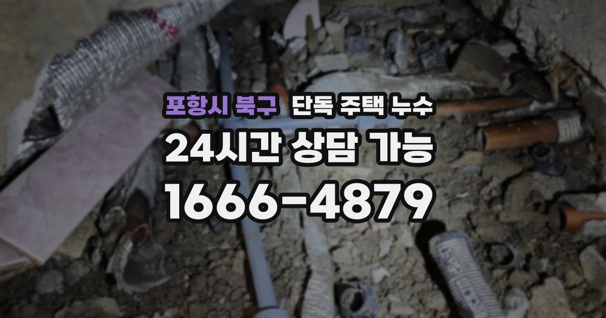 포항시 북구 단독 주택 누수
