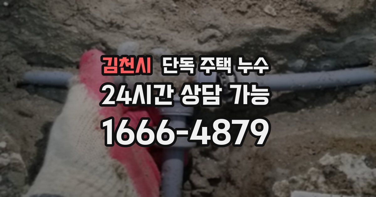 김천시 단독 주택 누수