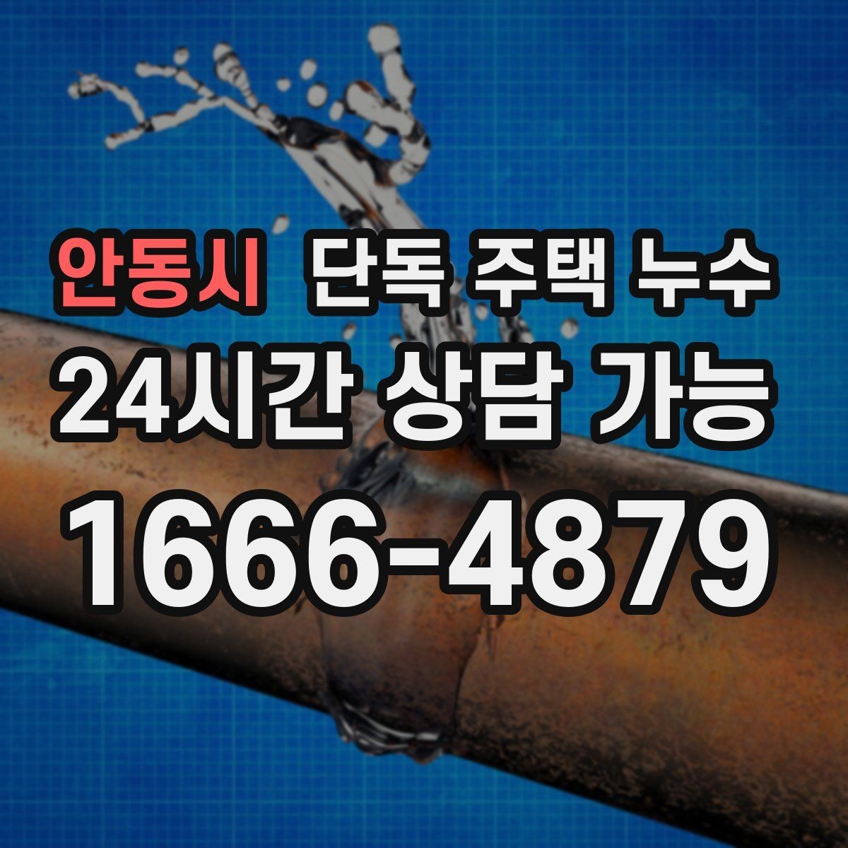 안동시 단독 주택 누수 밤사이 갑자기 천장이 젖는 경우