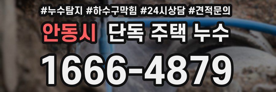 안동시 단독 주택 누수