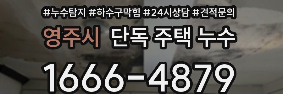 영주시 단독 주택 누수
