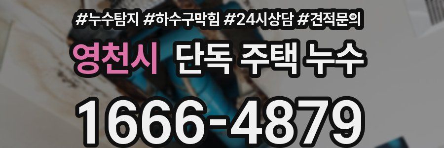 영천시 단독 주택 누수