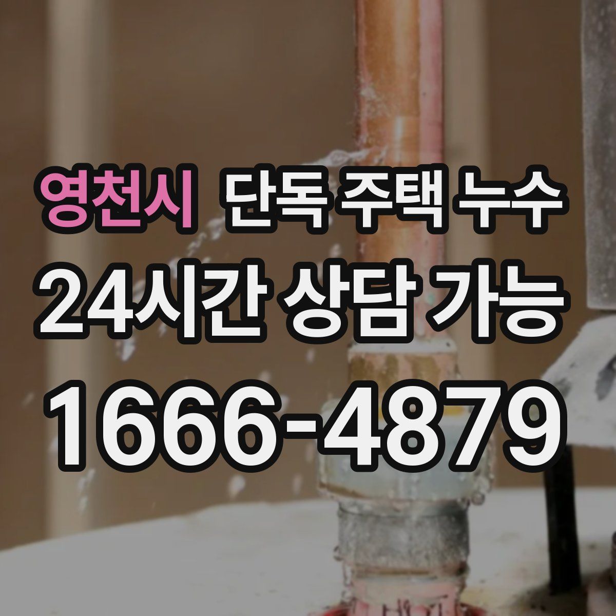 영천시 단독 주택 누수