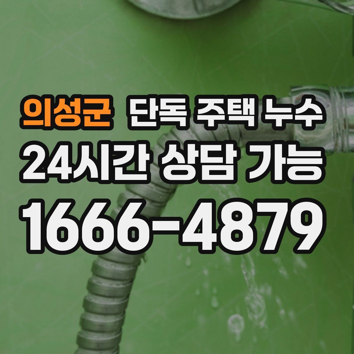 의성군 단독 주택 누수 곰팡이가 특정 구역에만 생기는 이유