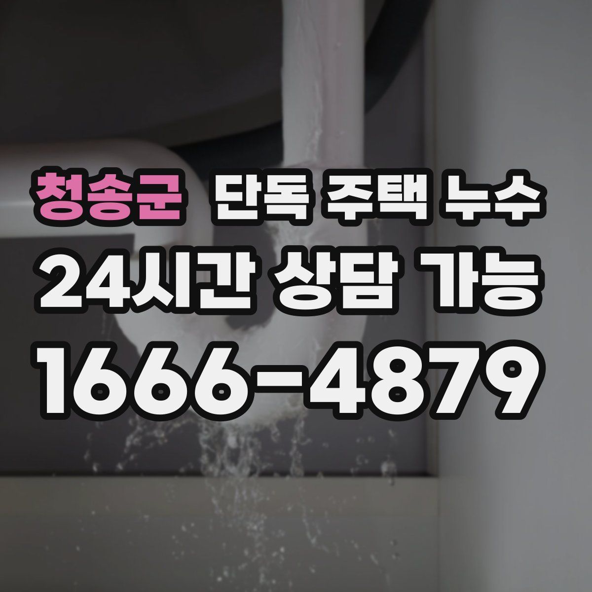 청송군 단독 주택 누수