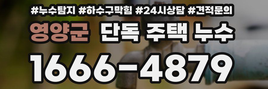 영양군 단독 주택 누수