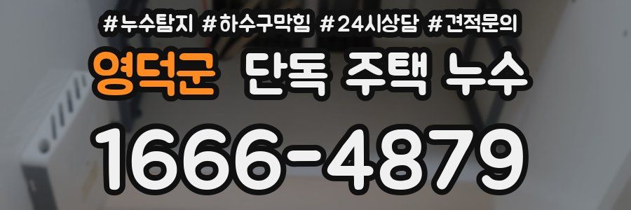 영덕군 단독 주택 누수