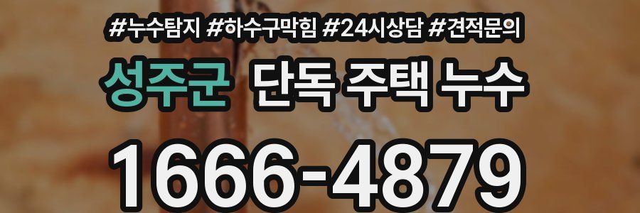 성주군 단독 주택 누수