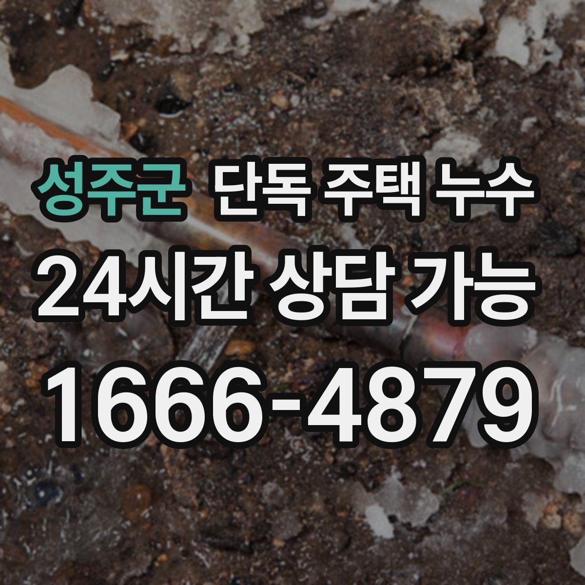 성주군 단독 주택 누수