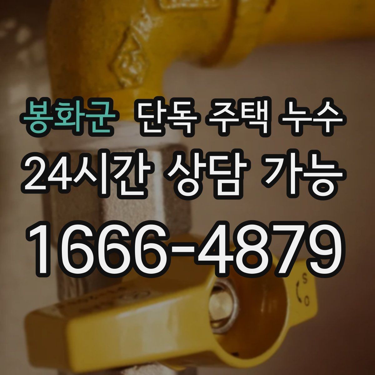 봉화군 단독 주택 누수 보일러실 바닥 물고임 원인 추정
