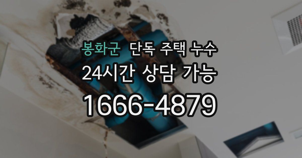 봉화군 단독 주택 누수