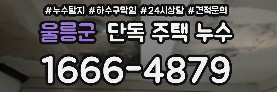 울릉군 단독 주택 누수