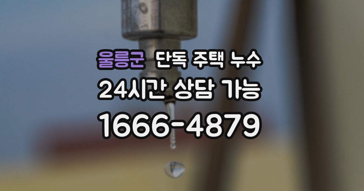 울릉군 단독 주택 누수