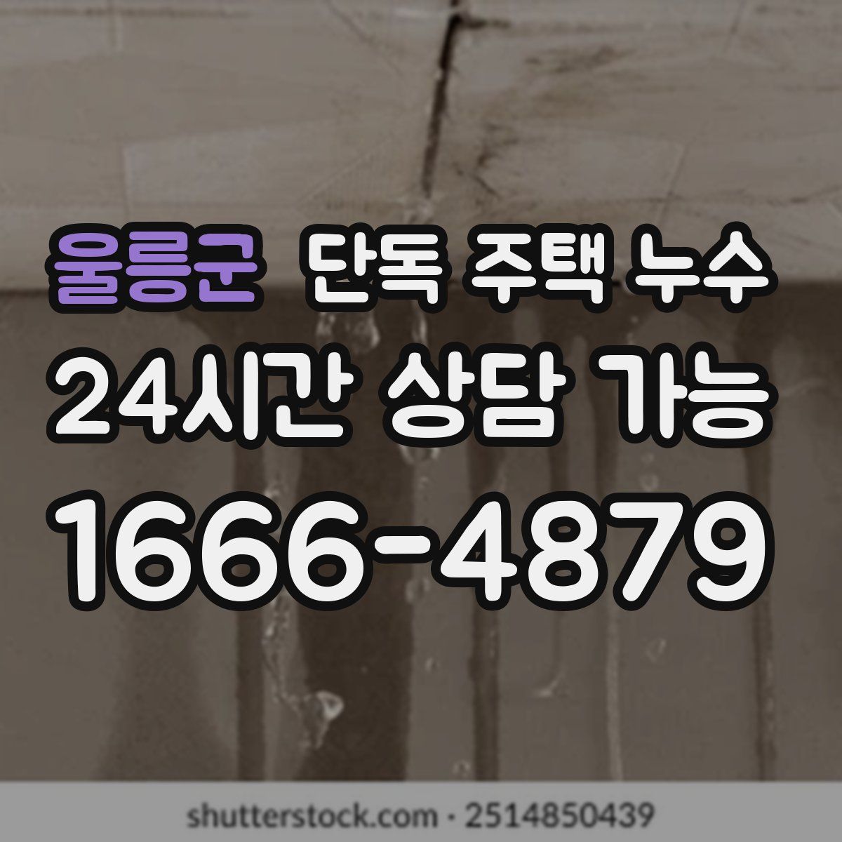 울릉군 단독 주택 누수