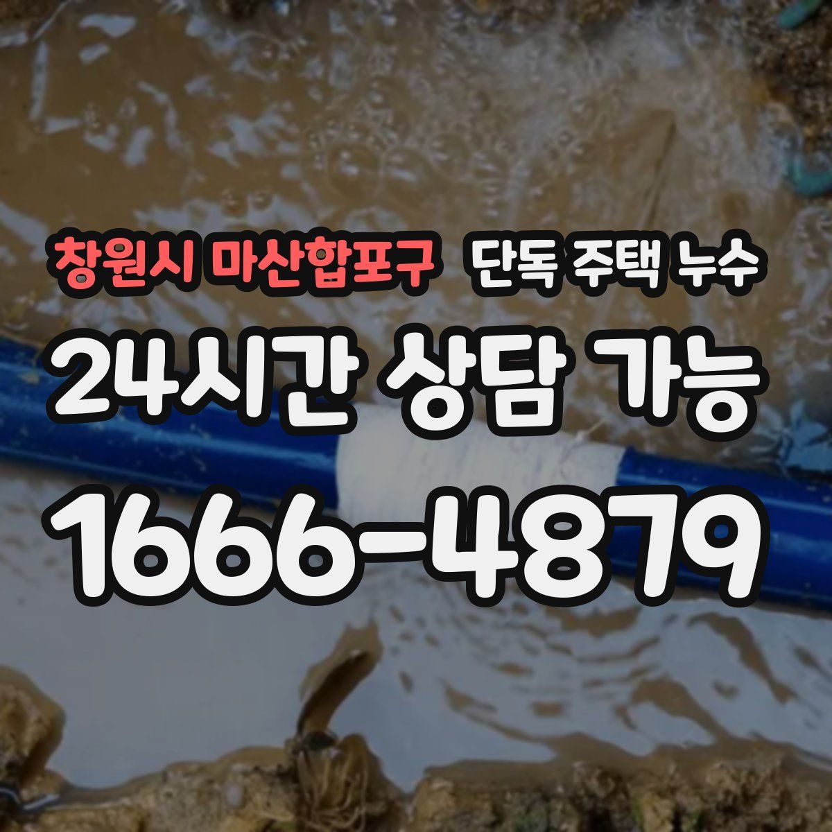 창원시 마산합포구 단독 주택 누수