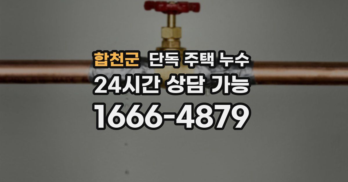 합천군 단독 주택 누수