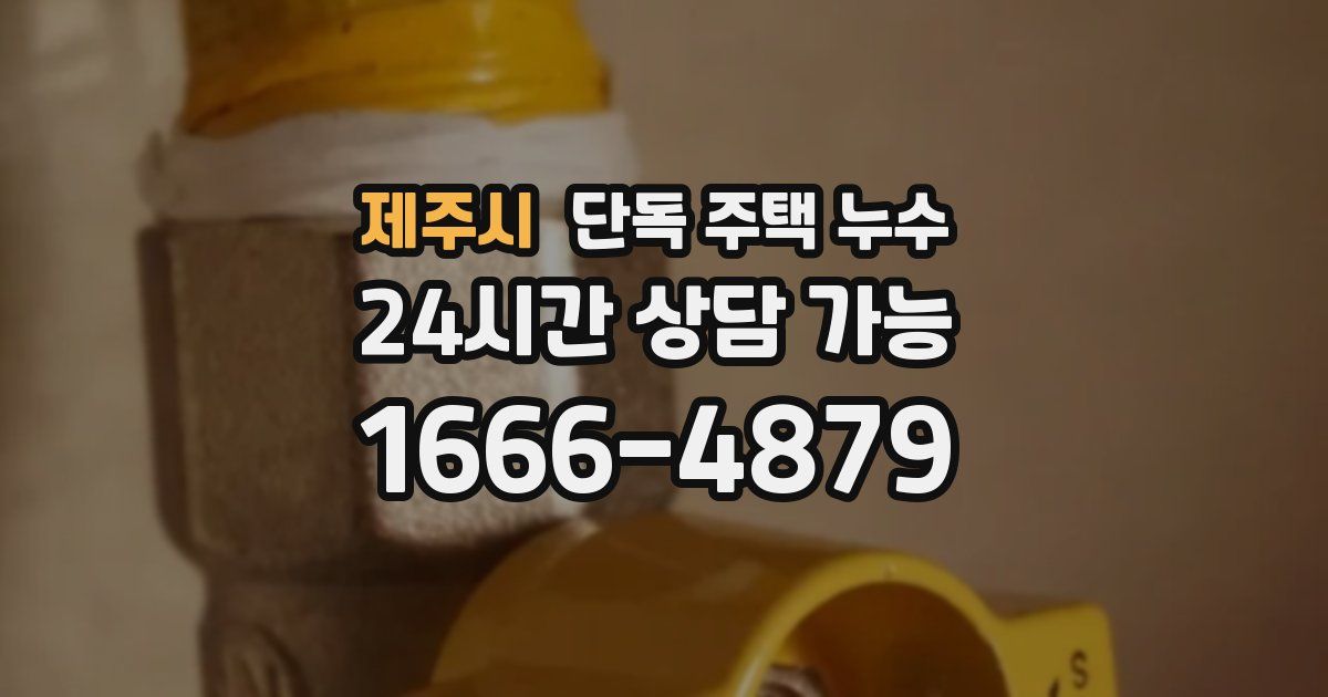 제주시 단독 주택 누수