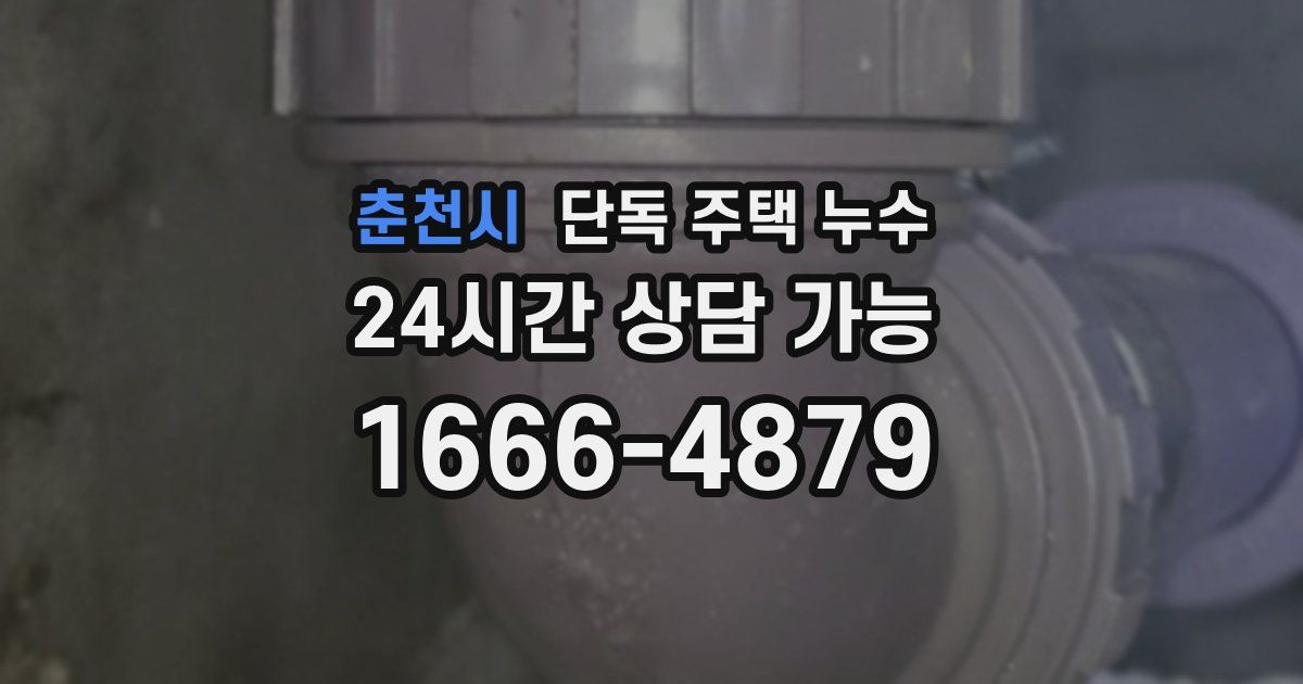 춘천시 단독 주택 누수