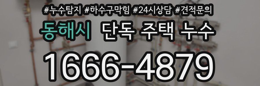 동해시 단독 주택 누수