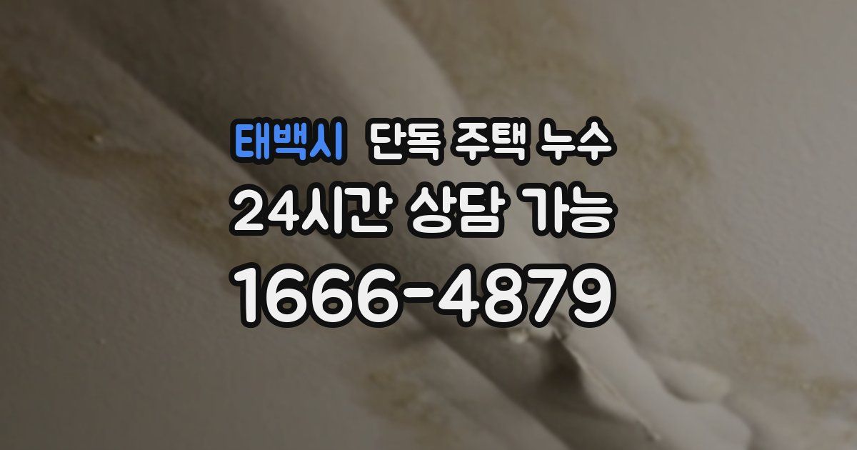 태백시 단독 주택 누수