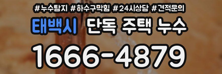 태백시 단독 주택 누수