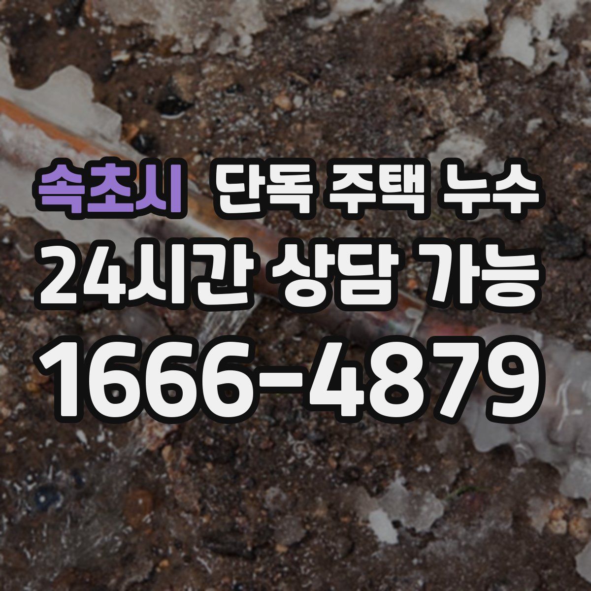 속초시 단독 주택 누수