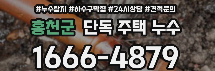 홍천군 단독 주택 누수