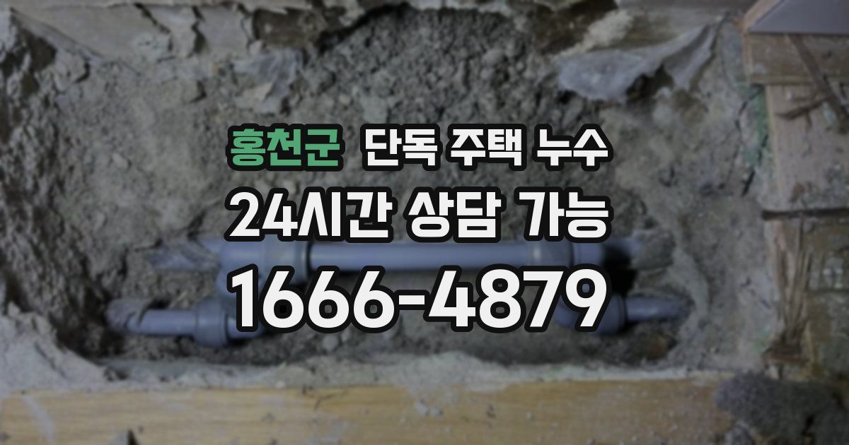 홍천군 단독 주택 누수