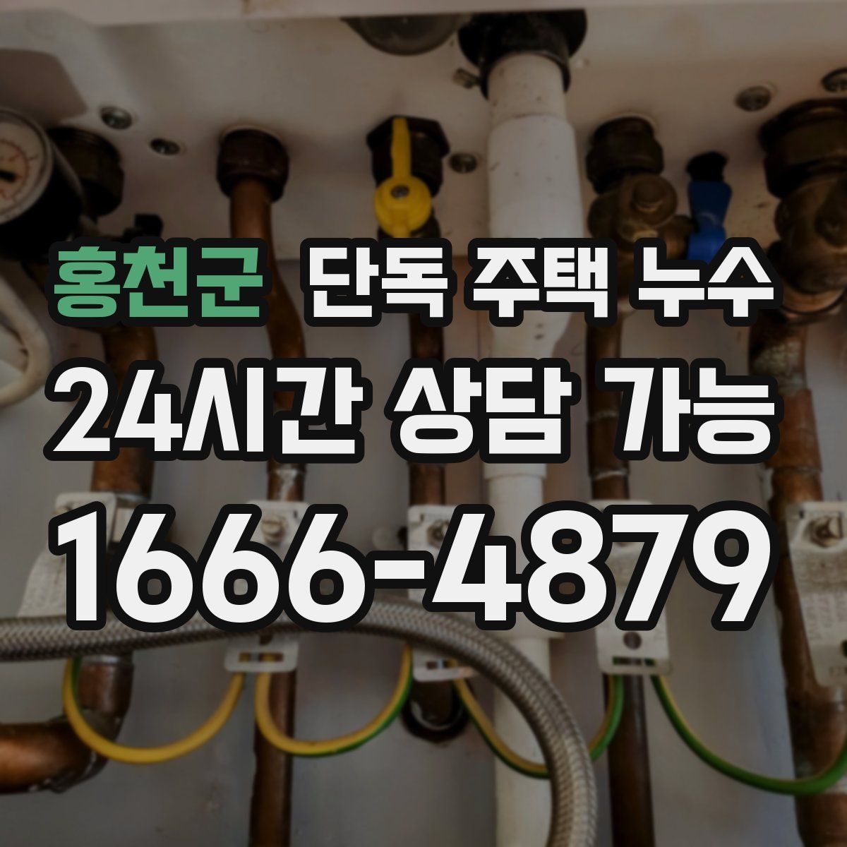 홍천군 단독 주택 누수