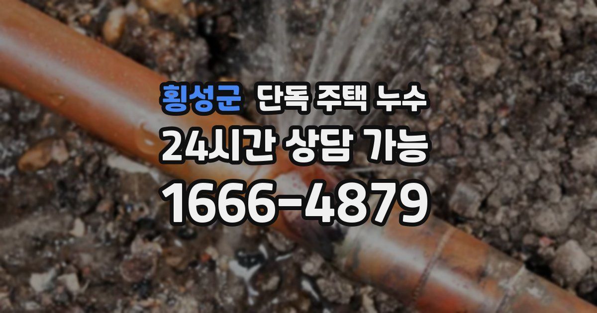 횡성군 단독 주택 누수