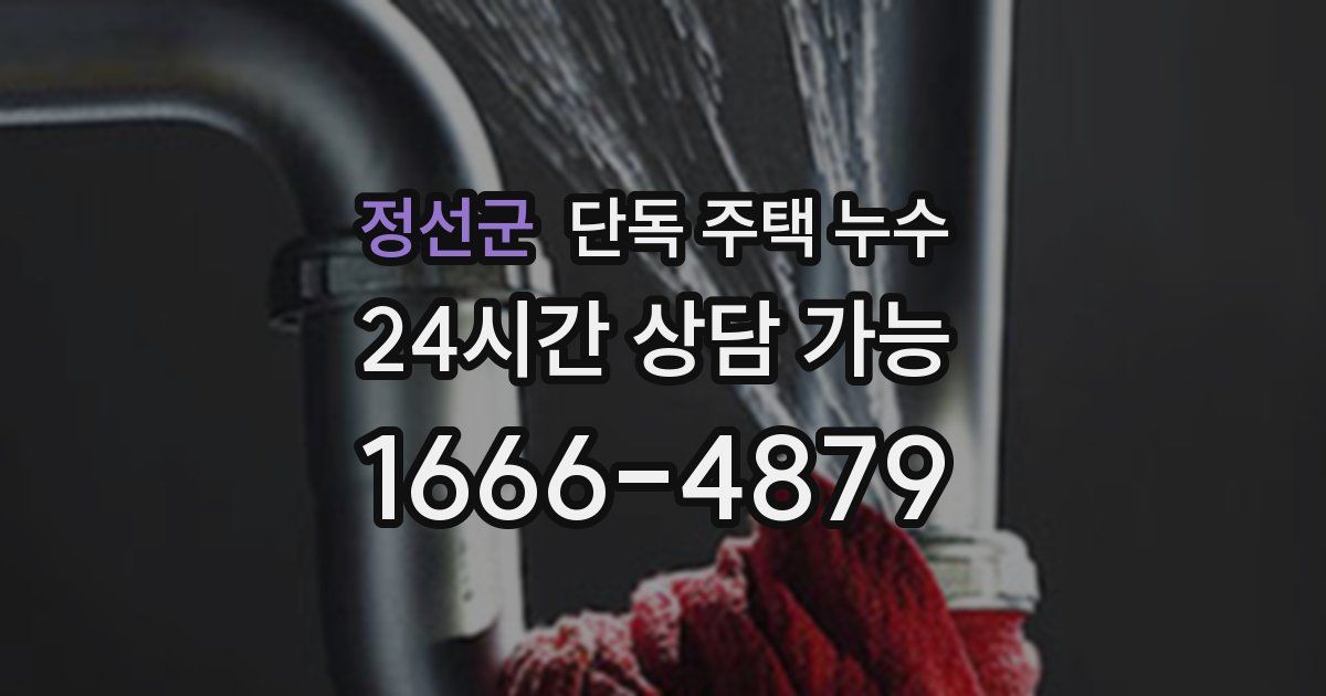 정선군 단독 주택 누수