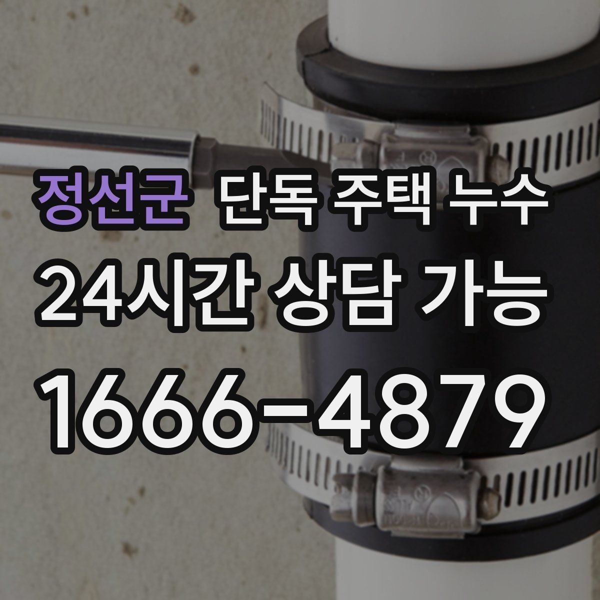 정선군 단독 주택 누수