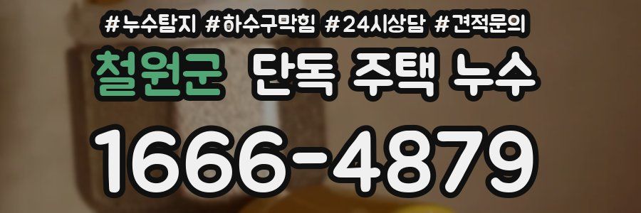 철원군 단독 주택 누수