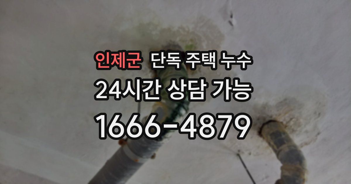 인제군 단독 주택 누수
