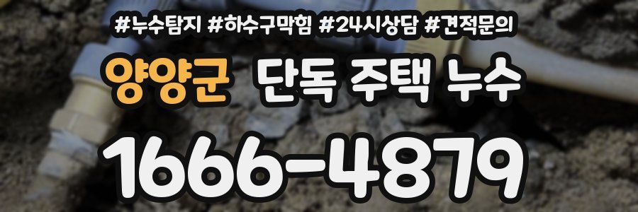 양양군 단독 주택 누수